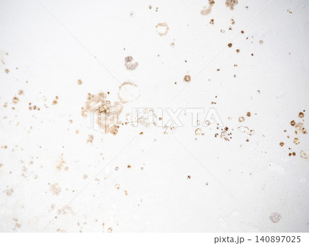 Mold on bathroom enamel. Mold spores in the bathroom. Black dots on a white background. A problem for everyday life. The need for a cleaning agent. Mold on bathroom enamel. Mold spores in the bathroom. Black dots on a white background. A problem for everyday life. The need for a cleaning agent. 140897025