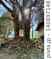 光が差し込む山寺の大イチョウ 140897148