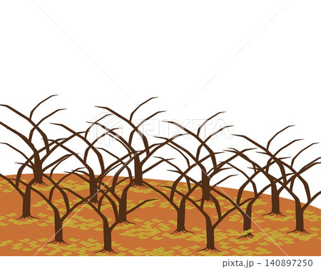 Dry barren forest with dead bare trees isolated on white background. Dry barren forest with dead bare trees isolated on white background. 140897250
