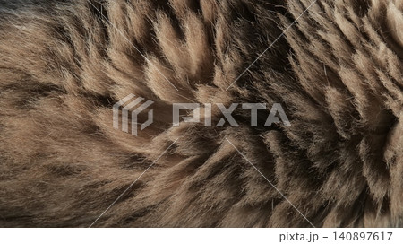 Beige Brown Cat Fur Texture Background 140897617