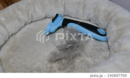 Pet Deshedding Brush and Collected Hair on a Pet Bed Pet Deshedding Brush and Collected Hair on a Pet Bed 140897709