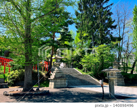 新緑に包まれた住吉神社境内 北海道小樽市 新緑に包まれた住吉神社境内 北海道小樽市 140898496