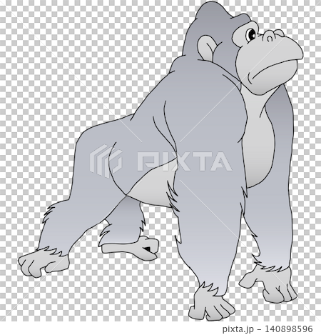 Hand-drawn animal illustration ☆ Gorilla Hand-drawn animal illustration ☆ Gorilla 140898596