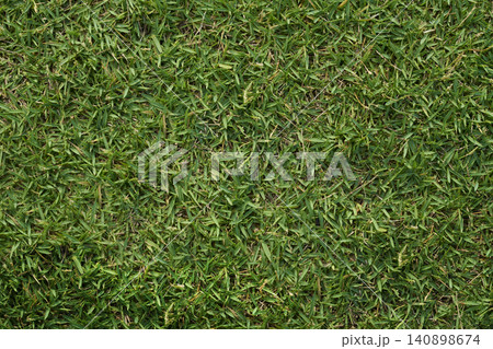 Lush green grass natural background texture showing growth 140898674