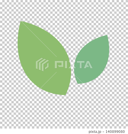 兩片綠葉的輪廓;簡單的植物插圖。 兩片綠葉的輪廓;簡單的植物插圖。 140899080