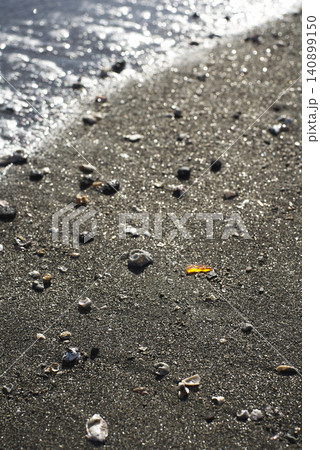 砂浜に打ち寄せる波と貝殻 砂浜に打ち寄せる波と貝殻 140899150