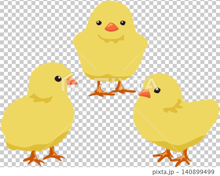Three cute chicks Three cute chicks 140899499