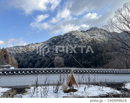 雪山の中でひっそり力強く咲く冬牡丹 雪山の中でひっそり力強く咲く冬牡丹 140899628
