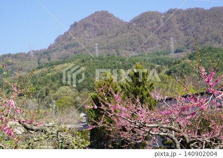 長野県埴科郡坂城町の山々に咲く山桜の花をお楽しみ下さい。そして上平の火の見やぐらから見た風景です。 長野県埴科郡坂城町の山々に咲く山桜の花をお楽しみ下さい。そして上平の火の見やぐらから見た風景です。 140902004