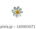 Minimalist White Flower Daisy Aesthetic 140903071