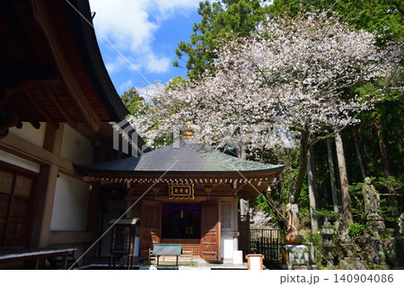 呑山観音寺の桜 140904086
