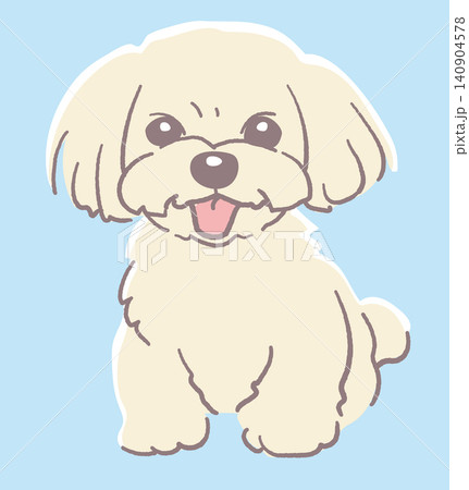 犬、マルチーズのイラスト素材。ベクターイラスト素材。 犬、マルチーズのイラスト素材。ベクターイラスト素材。 140904578