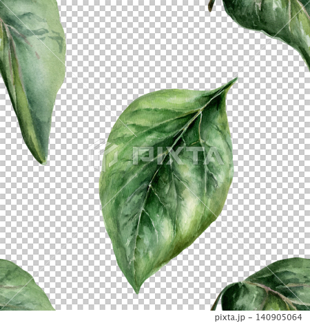 Echinacea leaves seamless pattern watercolor illustration on cream background. Medicinal herb foliage for sensitive skincare cosmetics packaging, gentle organic child care branding, detox tea print Echinacea leaves seamless pattern watercolor illustration on cream background. Medicinal herb foliage for sensitive skincare cosmetics packaging, gentle organic child care branding, detox tea print 140905064