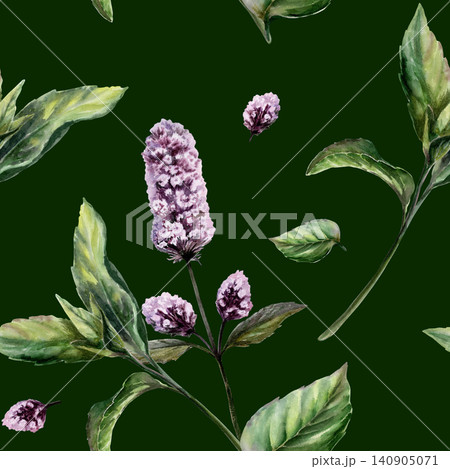 Mint seamless pattern watercolor illustration on dark background. Mentha medicinal herb for premium calming spa branding, stress relief oil packaging, organic sleep aromatherapy wellness print Mint seamless pattern watercolor illustration on dark background. Mentha medicinal herb for premium calming spa branding, stress relief oil packaging, organic sleep aromatherapy wellness print 140905071