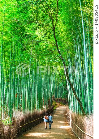 初夏の京都 竹林の小径 初夏の京都 竹林の小径 140905415