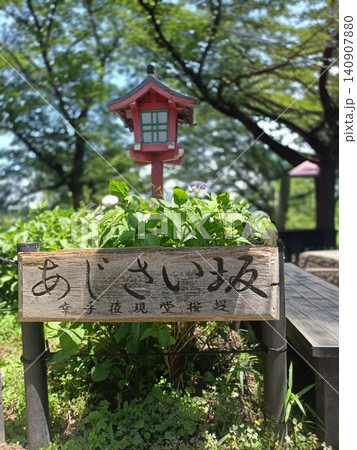 権現堂公園のあじさいまつり 権現堂公園のあじさいまつり 140907880