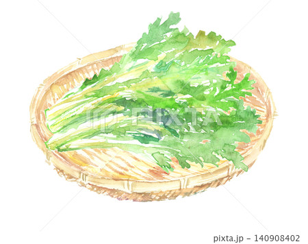 籠に盛られた春菊の水彩イラスト 籠に盛られた春菊の水彩イラスト 140908402