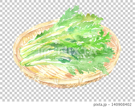 籠に盛られた春菊の水彩イラスト 籠に盛られた春菊の水彩イラスト 140908402