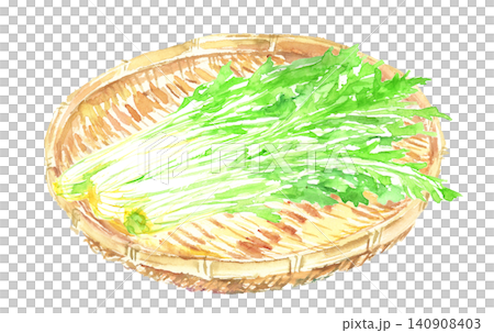 Watercolor illustration of mizuna (Japanese mustard greens) in a basket Watercolor illustration of mizuna (Japanese mustard greens) in a basket 140908403