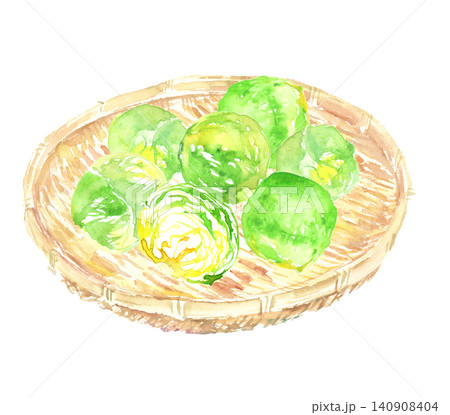 籠に盛られた芽キャベツの水彩イラスト 籠に盛られた芽キャベツの水彩イラスト 140908404