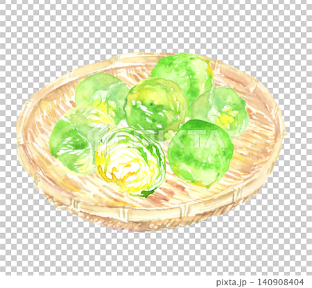 籠に盛られた芽キャベツの水彩イラスト 籠に盛られた芽キャベツの水彩イラスト 140908404