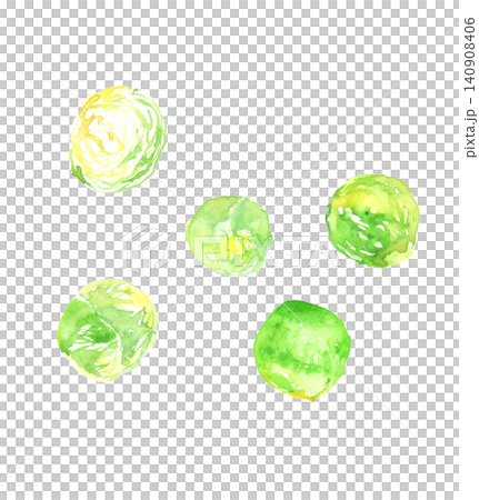 芽キャベツの水彩イラスト 芽キャベツの水彩イラスト 140908406