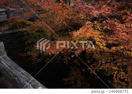 紅葉した木々 紅葉した木々 140908771