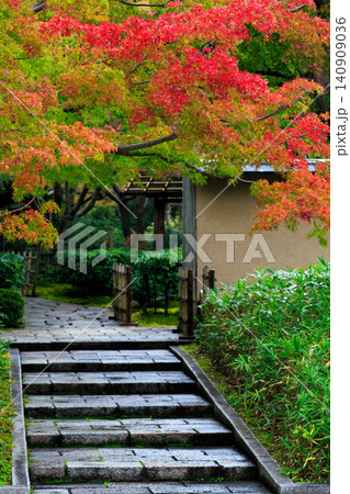 秋の日本庭園と紅葉の石畳 140909036
