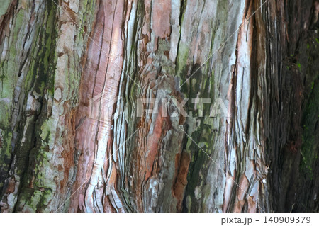 Textured Tree Bark with Natural Colors for Eco-Friendly Design Textured Tree Bark with Natural Colors for Eco-Friendly Design 140909379