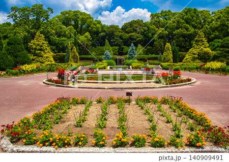 【京都風景】府立植物園 6月の梅雨の晴れ間に可憐に咲く花々 【京都風景】府立植物園 6月の梅雨の晴れ間に可憐に咲く花々 140909491
