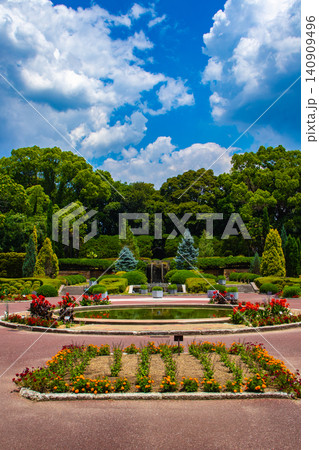 【京都風景】府立植物園 6月の梅雨の晴れ間に可憐に咲く花々 140909496
