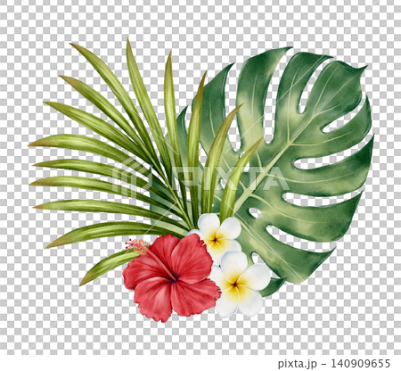 Tropical Botanical Collection Watercolor Illustration Tropical Botanical Collection Watercolor Illustration 140909655