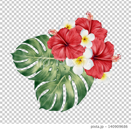 Tropical Floral Collection Watercolor Illustration Tropical Floral Collection Watercolor Illustration 140909686