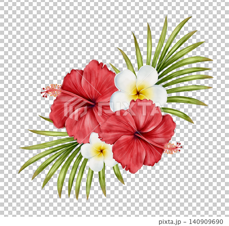 Tropical Flower Collection Watercolor Illustration 140909690