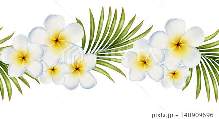 Plumeria Seamless Border Watercolor Illustration Plumeria Seamless Border Watercolor Illustration 140909696