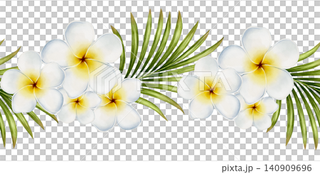 Plumeria Seamless Border Watercolor Illustration Plumeria Seamless Border Watercolor Illustration 140909696