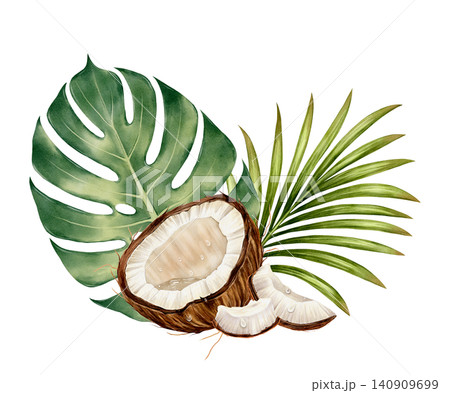 Tropical Coconut Watercolor Illustration Tropical Coconut Watercolor Illustration 140909699