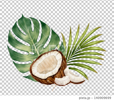 Tropical Coconut Watercolor Illustration Tropical Coconut Watercolor Illustration 140909699