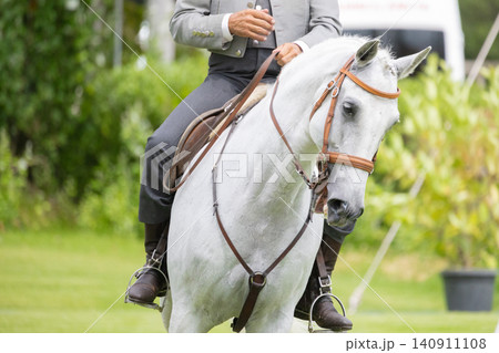 Horse and rider perform at a training event in a green field on a sunny day during summer Horse and rider perform at a training event in a green field on a sunny day during summer 140911108