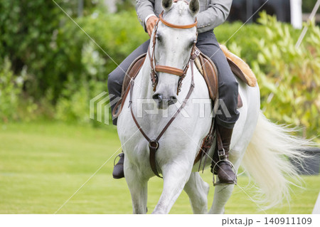 Rider on white horse moving through green field during daytime near trees and plants Rider on white horse moving through green field during daytime near trees and plants 140911109