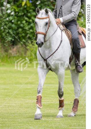 Horse and rider enjoying a sunny day at a green field during an outdoor event Horse and rider enjoying a sunny day at a green field during an outdoor event 140911110