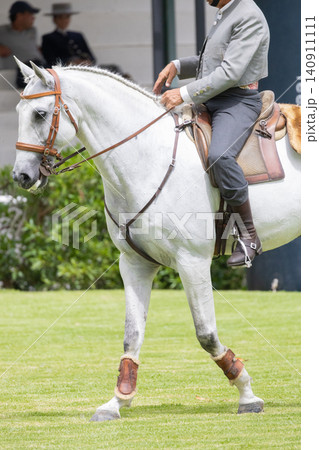Horse and rider participate in equestrian event at outdoor venue during daytime 140911111