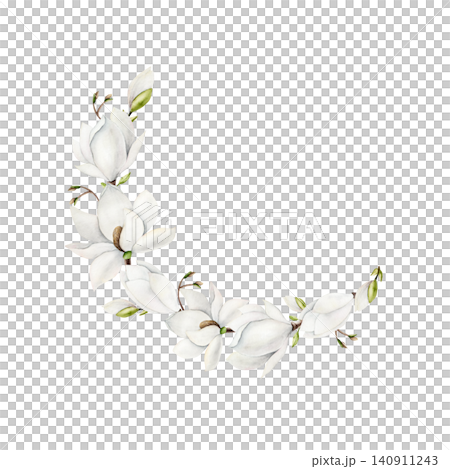 Magnolia branch frame, wreath, template with white flowers. Watercolor hand drawn spring lush blossom with green buds on a tree illustration isolated on background, transparent png. Botanical and wedd Magnolia branch frame, wreath, template with white flowers. Watercolor hand drawn spring lush blossom with green buds on a tree illustration isolated on background, transparent png. Botanical and wedd 140911243