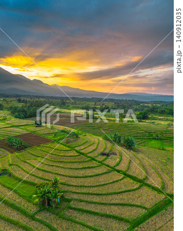 Terraced Rice Fields at Sunrise in Indonesia. Beautiful panoramic view of terraced rice fields surrounded by lush tropical greenery and palm trees 140912035