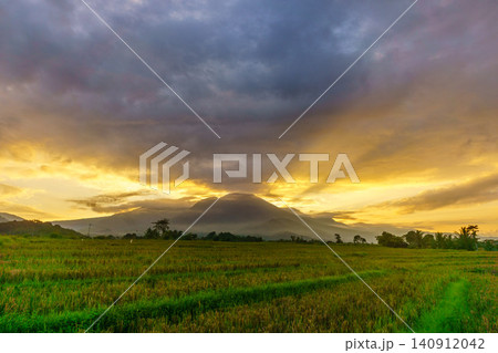 Terraced Rice Fields at Sunrise in Indonesia. Beautiful panoramic view of terraced rice fields surrounded by lush tropical greenery and palm trees 140912042