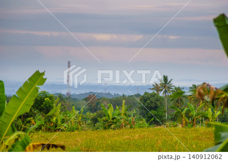 Terraced Rice Fields at Sunrise in Indonesia. Beautiful panoramic view of terraced rice fields surrounded by lush tropical greenery and palm trees Terraced Rice Fields at Sunrise in Indonesia. Beautiful panoramic view of terraced rice fields surrounded by lush tropical greenery and palm trees 140912062