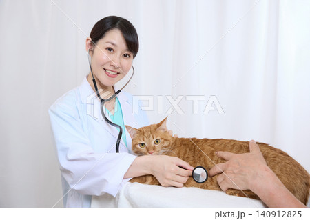 笑顔で聴診器で猫を診察する女性獣医師 笑顔で聴診器で猫を診察する女性獣医師 140912825