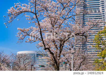 【神奈川県】横浜みなとみらい 桜が咲いた、さくら通りの景観 【神奈川県】横浜みなとみらい 桜が咲いた、さくら通りの景観 140912924