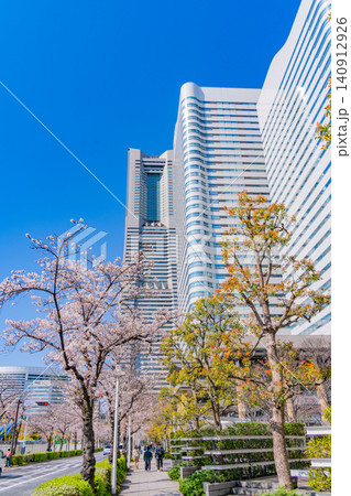 【神奈川県】横浜みなとみらい 桜が咲いた、さくら通りの景観 【神奈川県】横浜みなとみらい 桜が咲いた、さくら通りの景観 140912926
