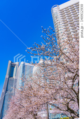【神奈川県】横浜みなとみらい 桜が咲いた、さくら通りの景観 【神奈川県】横浜みなとみらい 桜が咲いた、さくら通りの景観 140912930